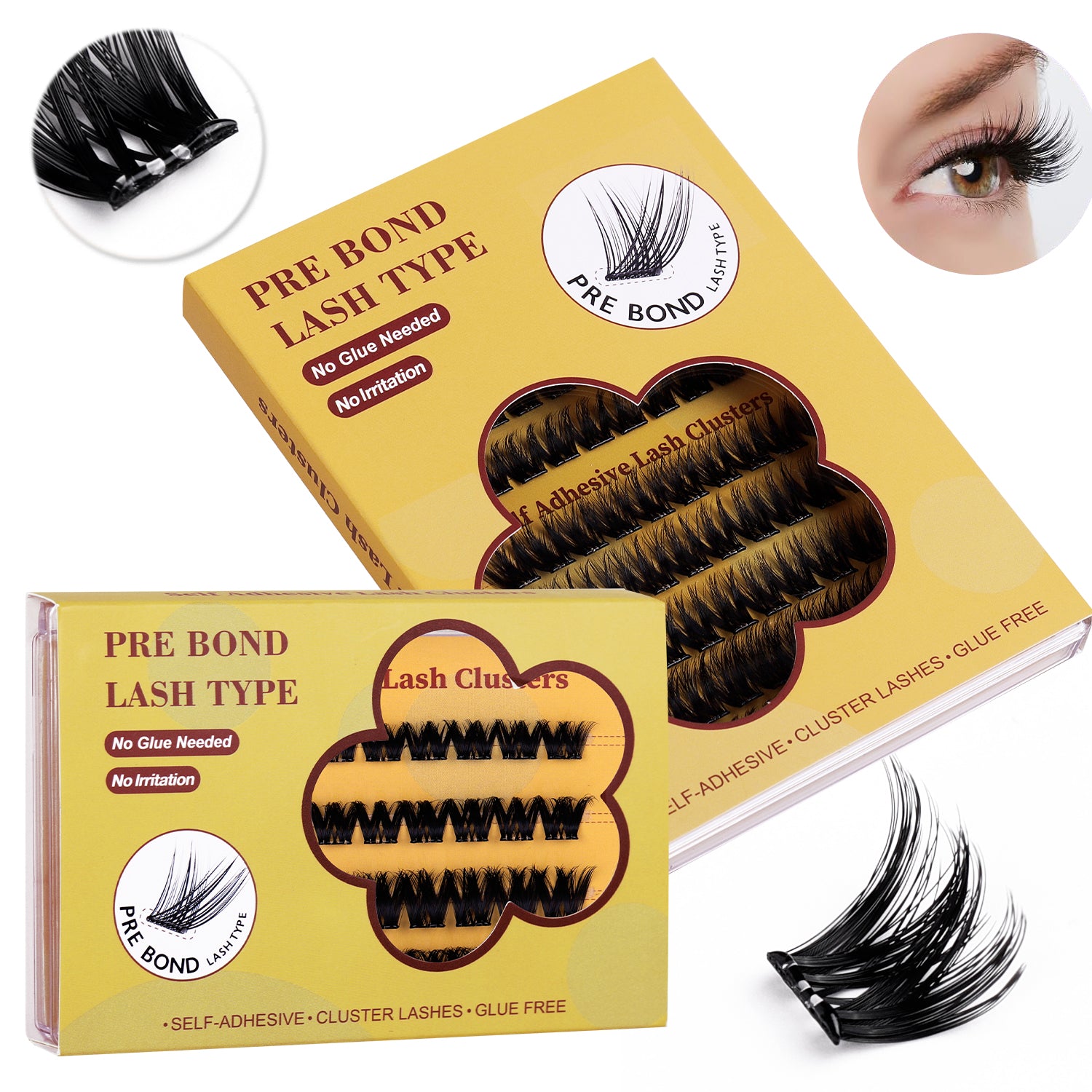 segmented Eyelashes