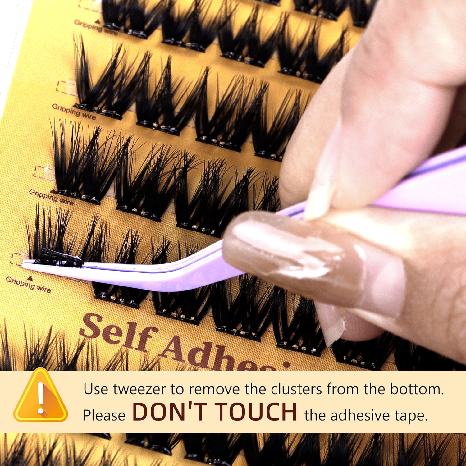 segmented Eyelashes